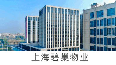 上海碧巢物业